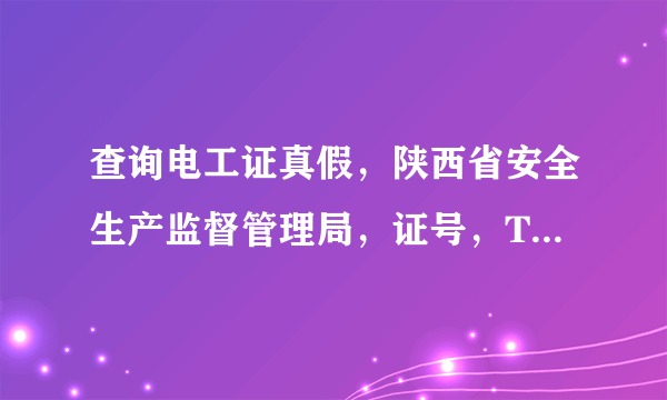 查询电工证真假，陕西省安全生产监督管理局，证号，T441423198204193058