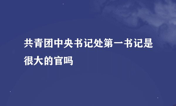 共青团中央书记处第一书记是很大的官吗