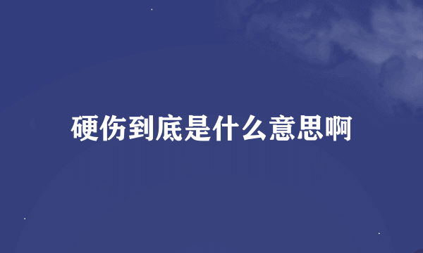 硬伤到底是什么意思啊