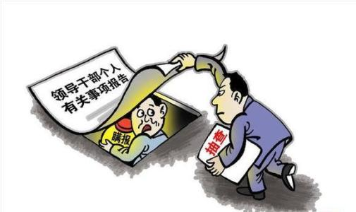 党组织主要负责人个人有关事项应当在什么情况下公开