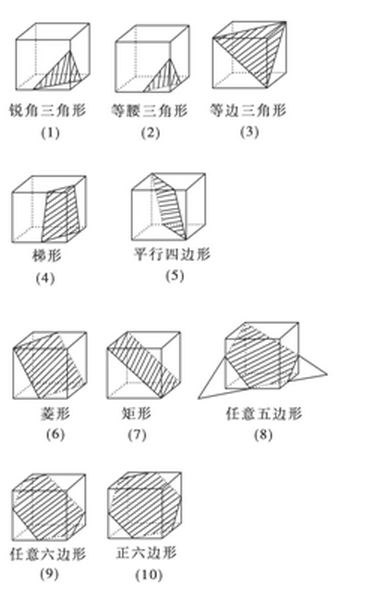 【高一数学】急！正方体截面可能是什么形状?求画图！