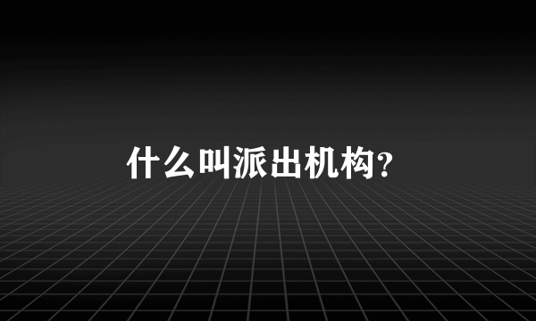 什么叫派出机构？