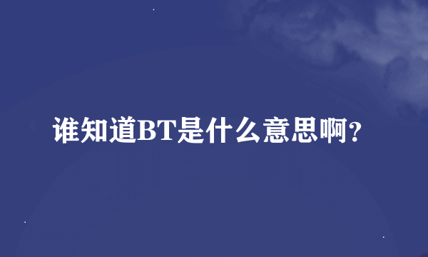 谁知道BT是什么意思啊？