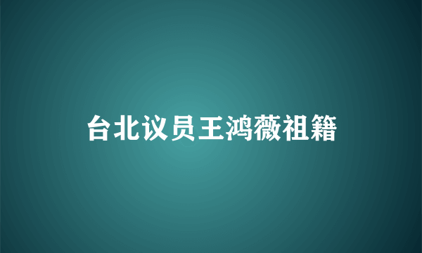 台北议员王鸿薇祖籍