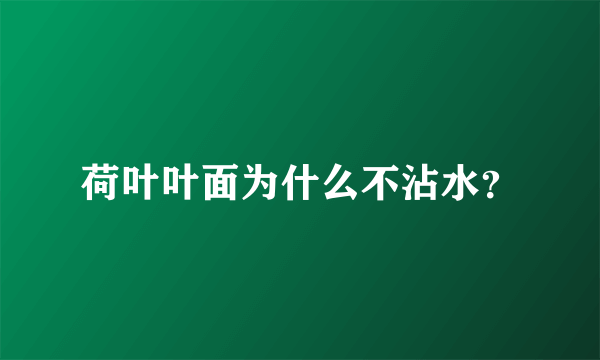 荷叶叶面为什么不沾水？