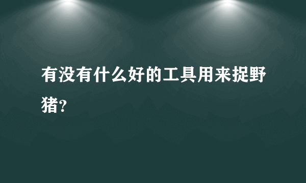 有没有什么好的工具用来捉野猪？