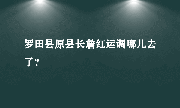 罗田县原县长詹红运调哪儿去了？