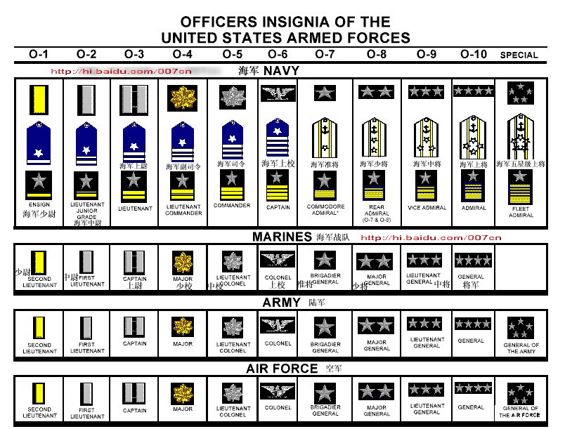 美国军衔肩章图片？