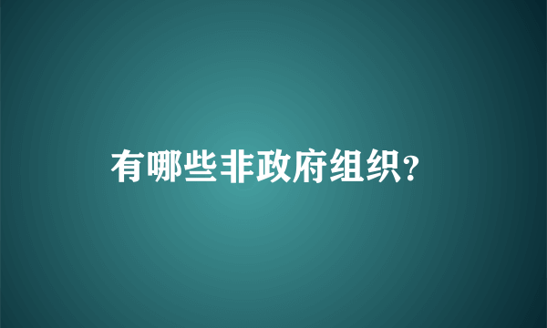 有哪些非政府组织？