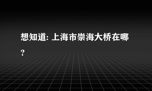 想知道: 上海市崇海大桥在哪？