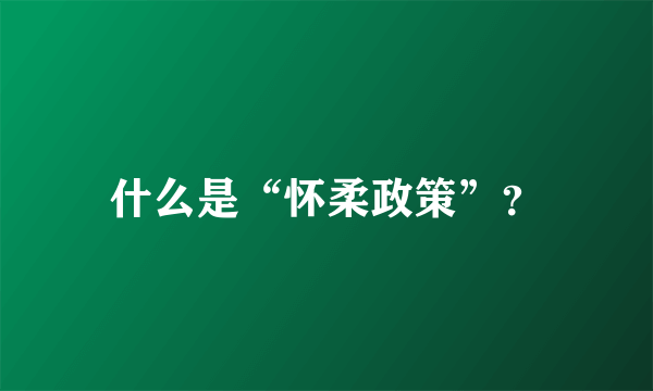 什么是“怀柔政策”？