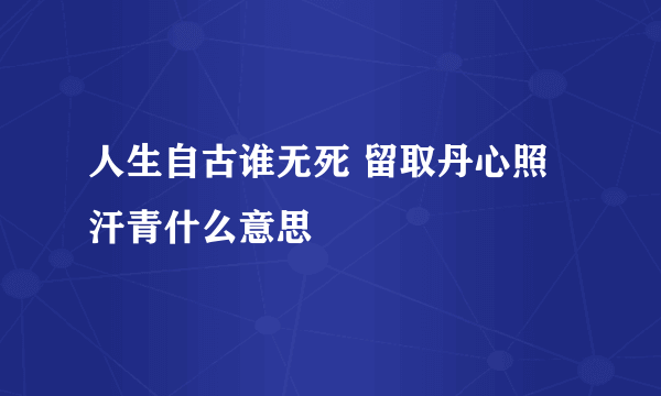 人生自古谁无死 留取丹心照汗青什么意思