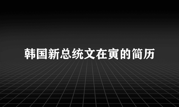 韩国新总统文在寅的简历