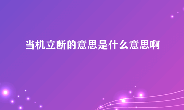 当机立断的意思是什么意思啊