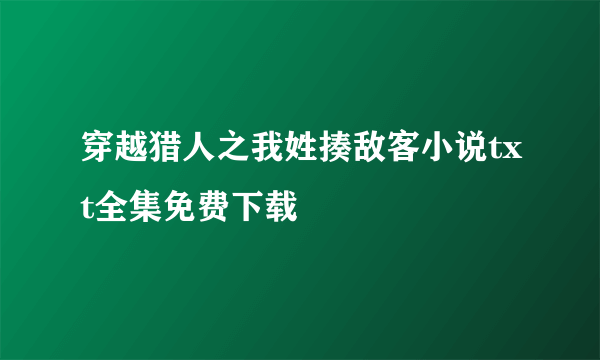 穿越猎人之我姓揍敌客小说txt全集免费下载