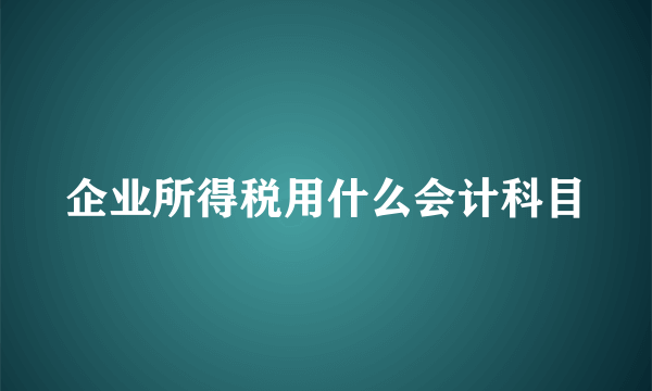 企业所得税用什么会计科目