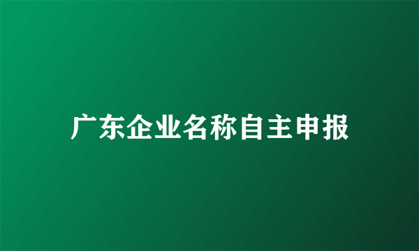 广东企业名称自主申报