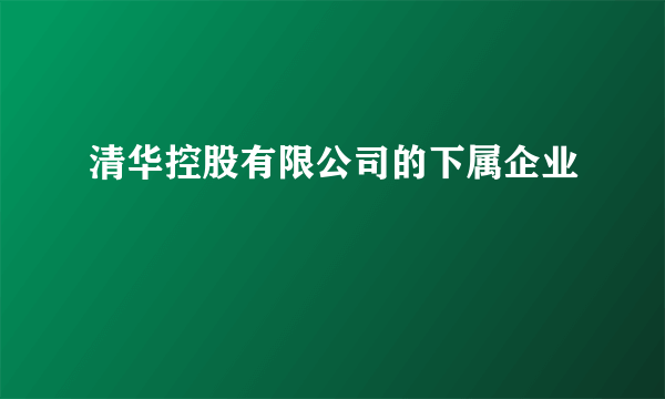 清华控股有限公司的下属企业