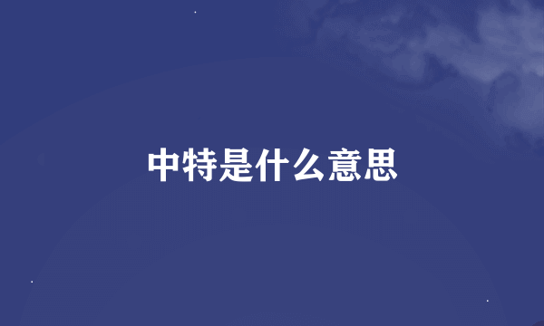 中特是什么意思