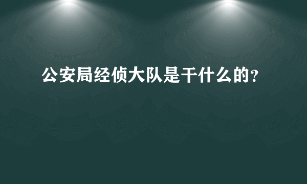 公安局经侦大队是干什么的？