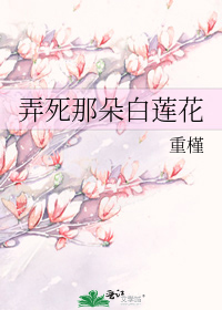 求《弄死那朵白莲花》txt百度云