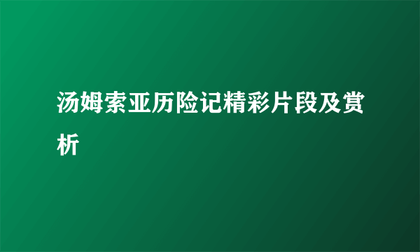 汤姆索亚历险记精彩片段及赏析