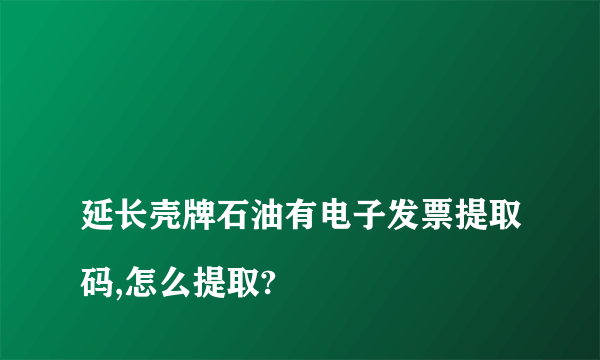 
延长壳牌石油有电子发票提取码,怎么提取?
