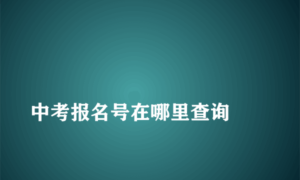 
中考报名号在哪里查询
