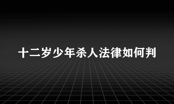 十二岁少年杀人法律如何判