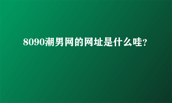 8090潮男网的网址是什么哇？