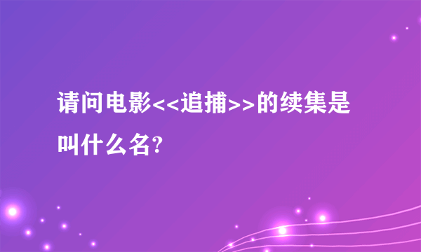 请问电影<<追捕>>的续集是叫什么名?