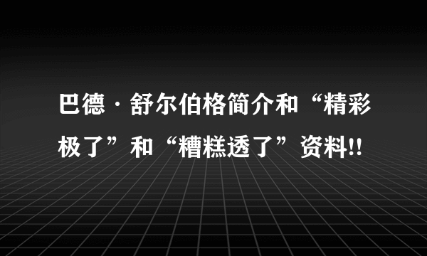 巴德·舒尔伯格简介和“精彩极了”和“糟糕透了”资料!!