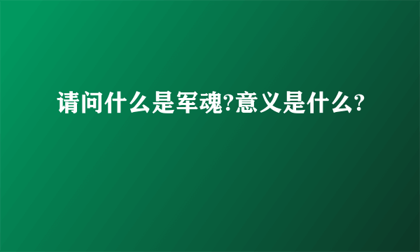 请问什么是军魂?意义是什么?