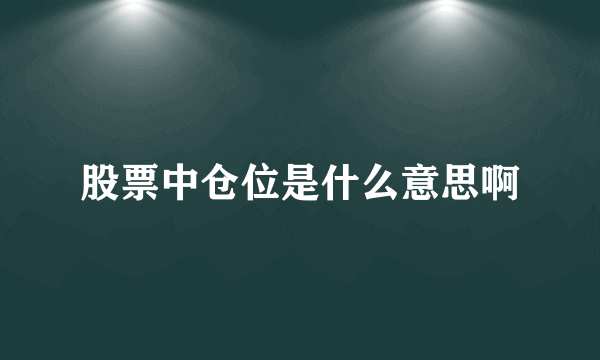 股票中仓位是什么意思啊