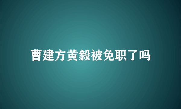 曹建方黄毅被免职了吗