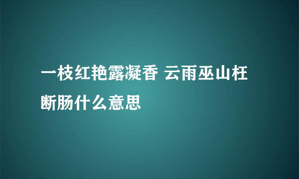 一枝红艳露凝香 云雨巫山枉断肠什么意思