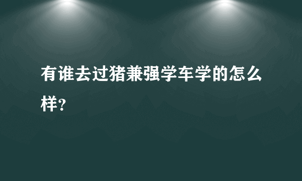 有谁去过猪兼强学车学的怎么样？