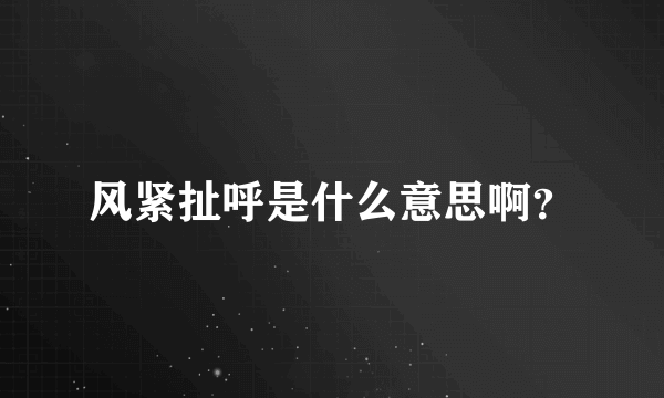 风紧扯呼是什么意思啊？