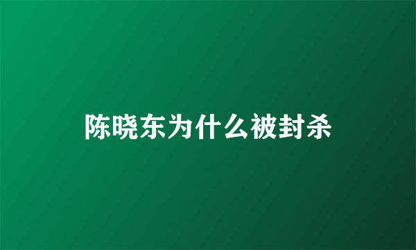 陈晓东为什么被封杀