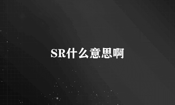 SR什么意思啊