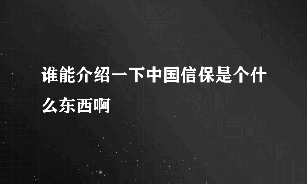 谁能介绍一下中国信保是个什么东西啊