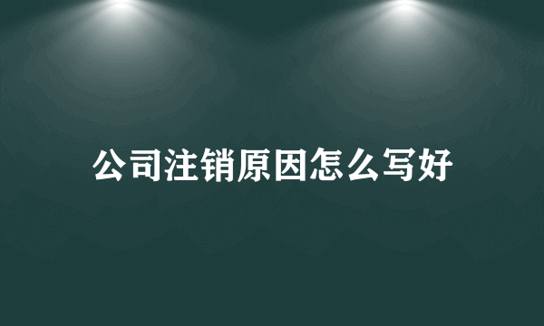 公司注销原因怎么写好