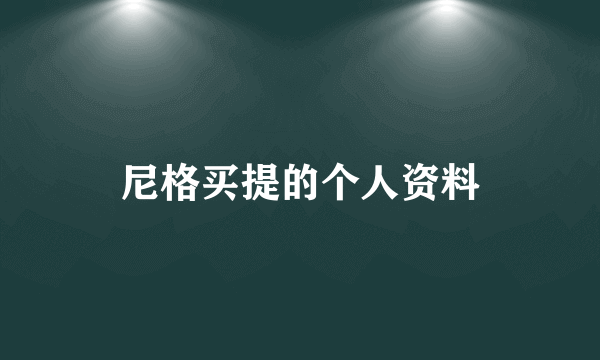 尼格买提的个人资料