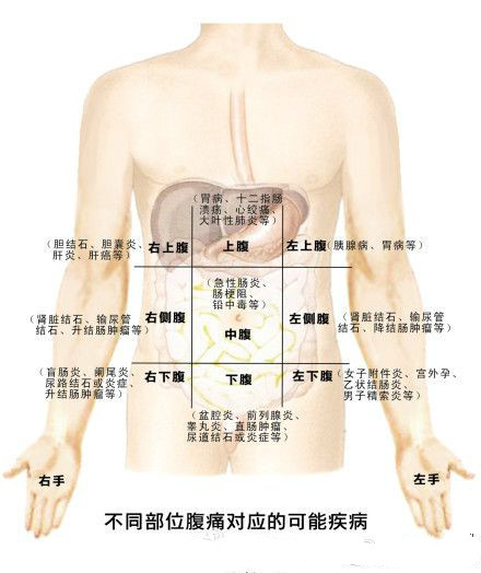 引起腹痛的常见原因有哪些？