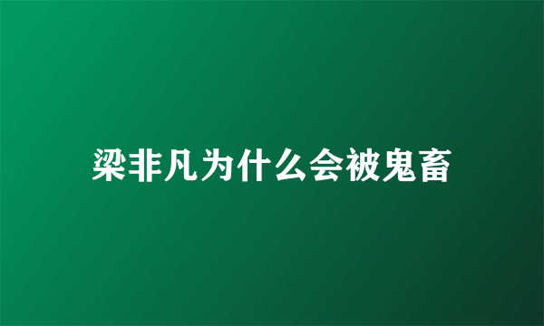 梁非凡为什么会被鬼畜