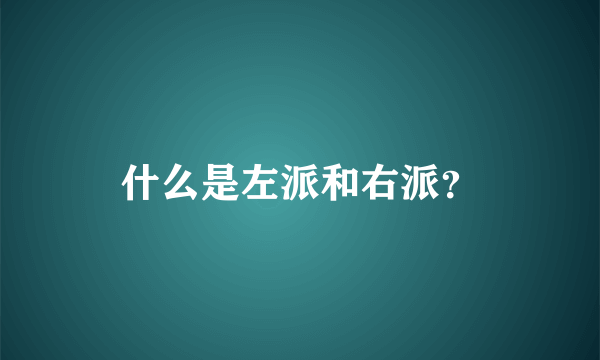 什么是左派和右派？