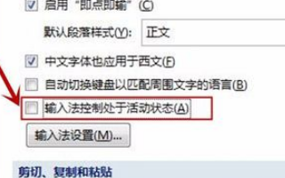 word文档打不了中文