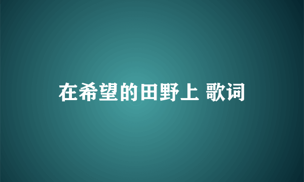 在希望的田野上 歌词