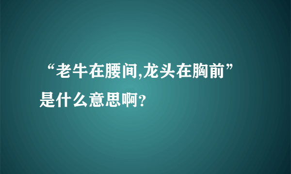 “老牛在腰间,龙头在胸前”是什么意思啊？