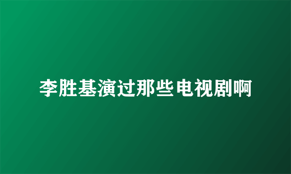 李胜基演过那些电视剧啊